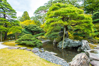 庭園写真